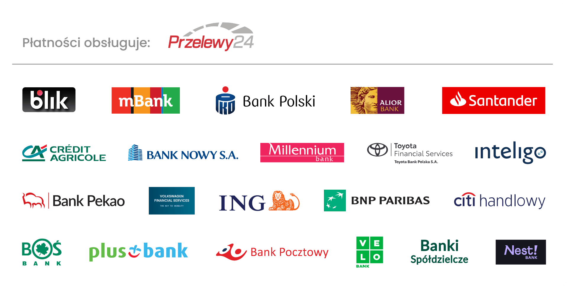 Płatności obsługiwane przez Przelewy24: BLIK i szybkie przelewy bankowe
